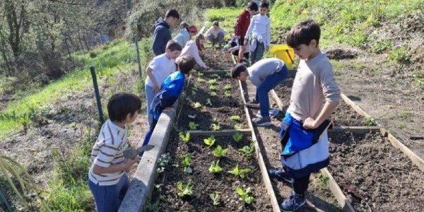 Visitas al huerto educativo